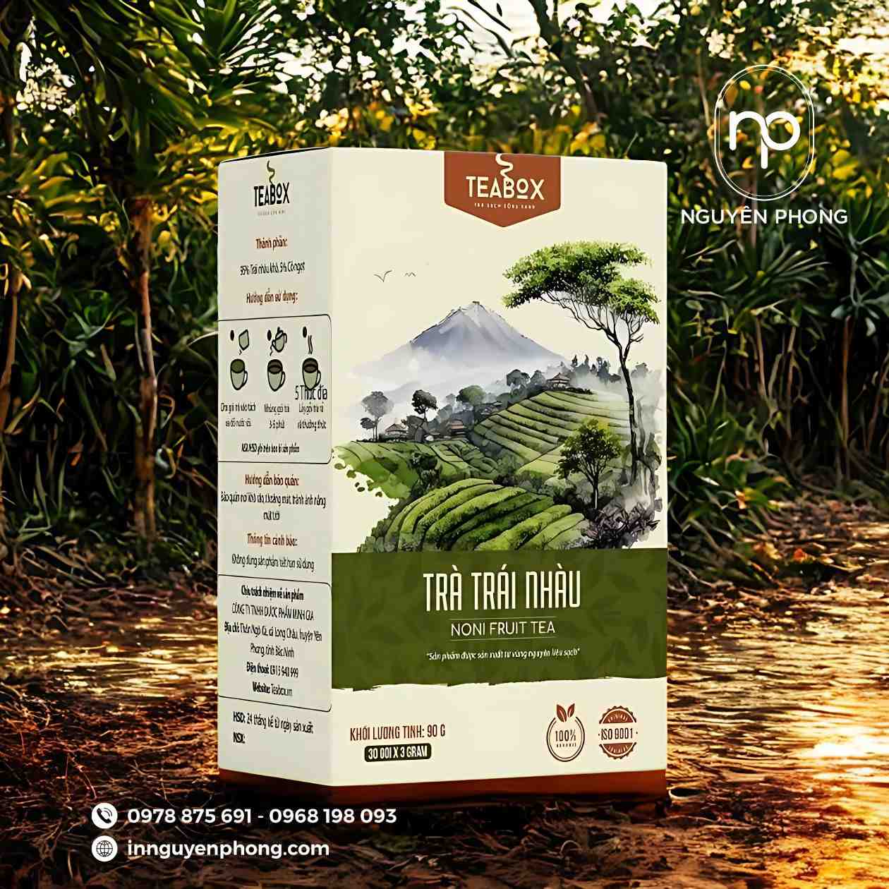 hộp đựng thuốc từ trái nhàu